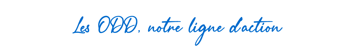 Los ODS, Nuestro eje de acción